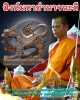 สิงห์มหาอำนาจนะดี   พระอาจารย์นะดี อินฺทปัญโญ  (1)