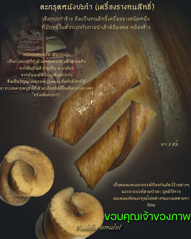 ตะกรุด เชือกปะกำช้าง - 5