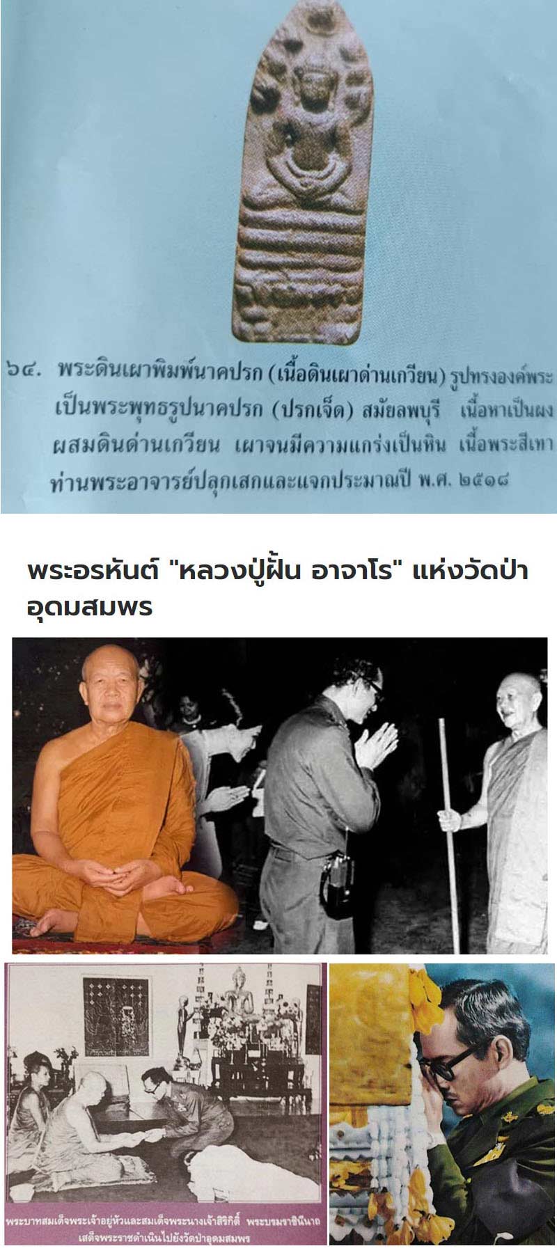 พระนาคปรก เนื้อดินเผาด่านเกวียน พระอาจารย์ฝั้น อาจาโร - 2