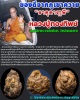 ธาตุตาฤาษี  ของดีจากภูเขาควาย  หลวงปู่ทองทิพย์ พุทธปัญโญ  