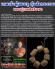  ลูกสะกด หลวงปู่เมฆ วัดลำกระดาน
