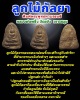 ลูกไม้กัลยา พิมพ์พระพุทธทาบรอนซ์ หลวงพ่อพริ้ง วัดแจ้ง เกาะสมุย 