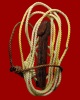 ปลัดขิก  (ไม้ตาล )  1