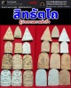 พระสิทธัตโถ เนื้อดิน 