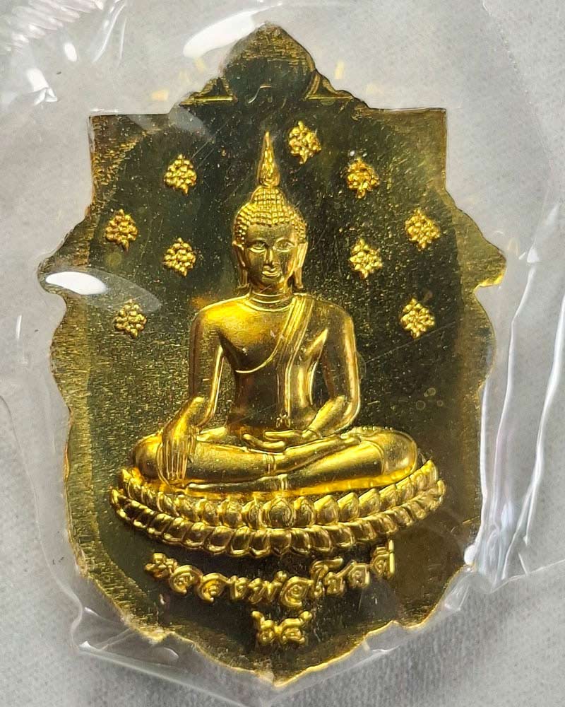 เหรียญ หลวงปู่เผือก วัดกิ่งแก้ว หลัง ลพ.โชคดี รุ่นซื้อที่ดิน ปี 64  - 2
