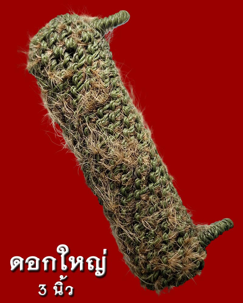 ตะกรุดหนังเสือ หลวงพ่อเปิ่น วัดบางพระ - 3
