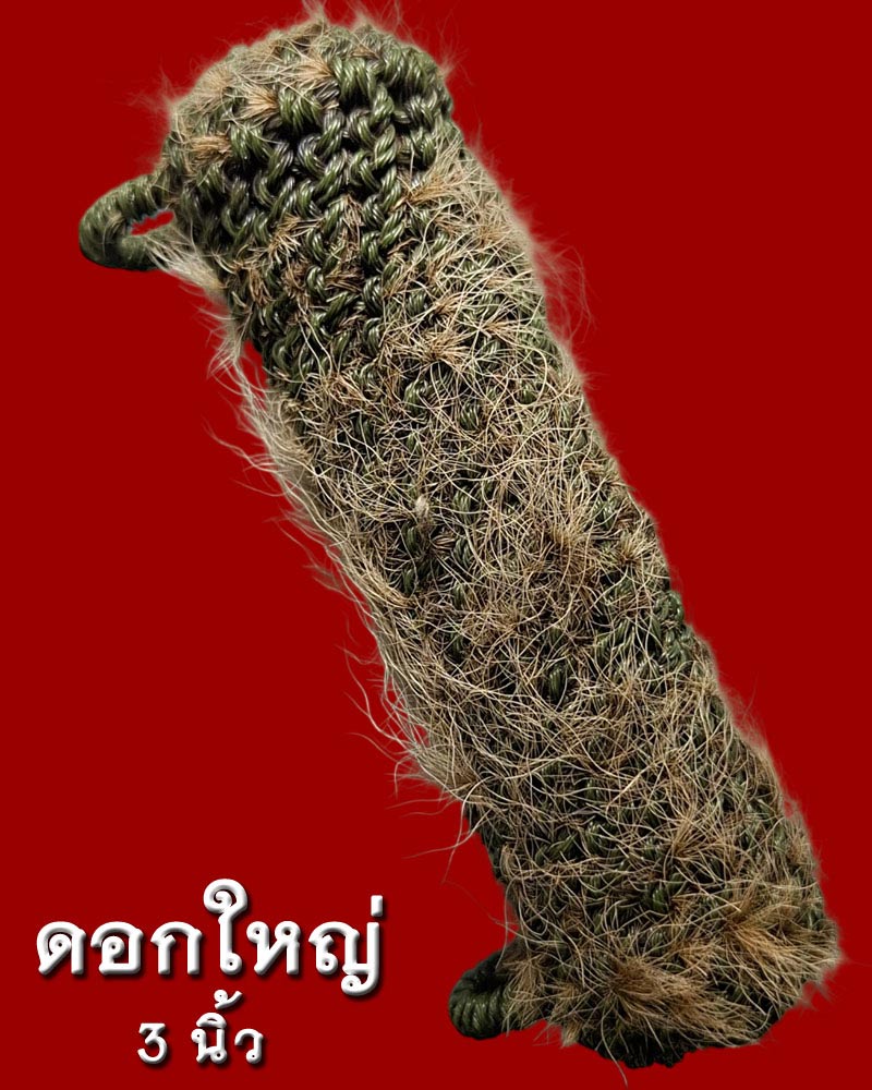 ตะกรุดหนังเสือ หลวงพ่อเปิ่น วัดบางพระ - 4
