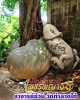 ปลัดขิกเพชรพญาธร หลวงพ่อซ่วน วัดท่าลาดใต้
