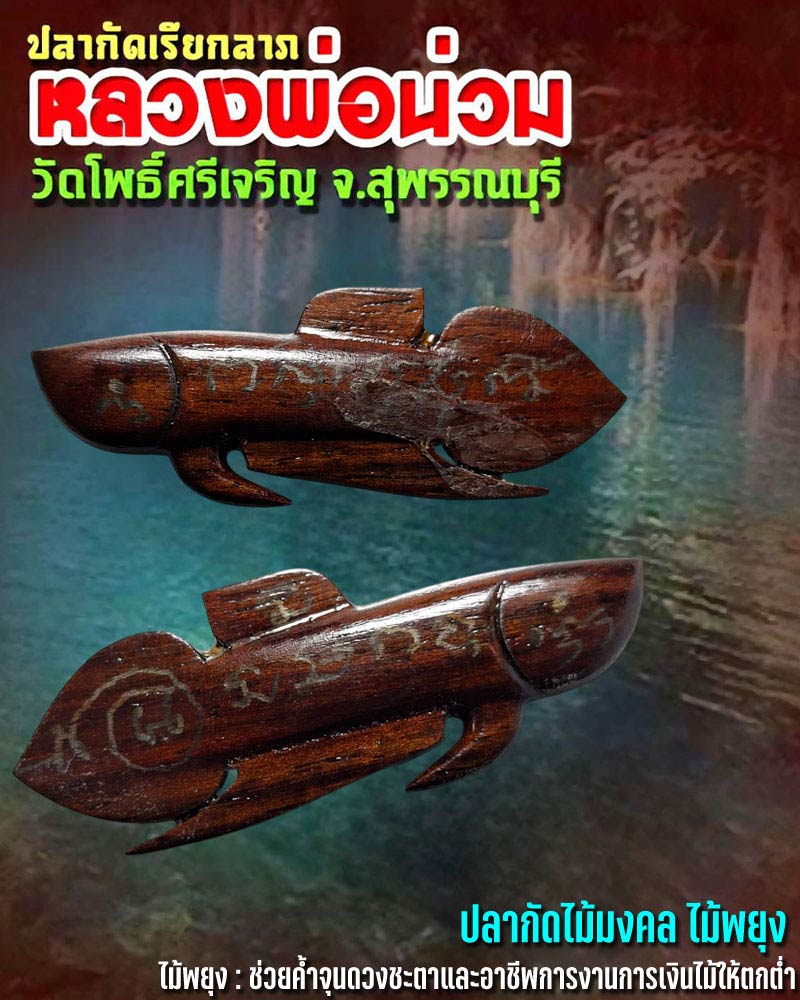 ปลากัดเรียกลาภ  หลวงพ่อน่วม วัดโพธิ์ศรีเจริญ จ.สุพรรณบุรี - 1