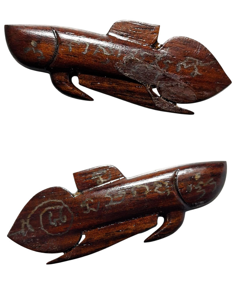 ปลากัดเรียกลาภ  หลวงพ่อน่วม วัดโพธิ์ศรีเจริญ จ.สุพรรณบุรี - 3