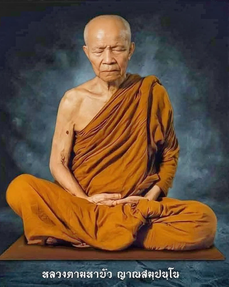 พระผงหลวงตามหาบัว รุ่นธรรมค้ำแผ่นดิน ปี48 เนื้อชุบ - 1