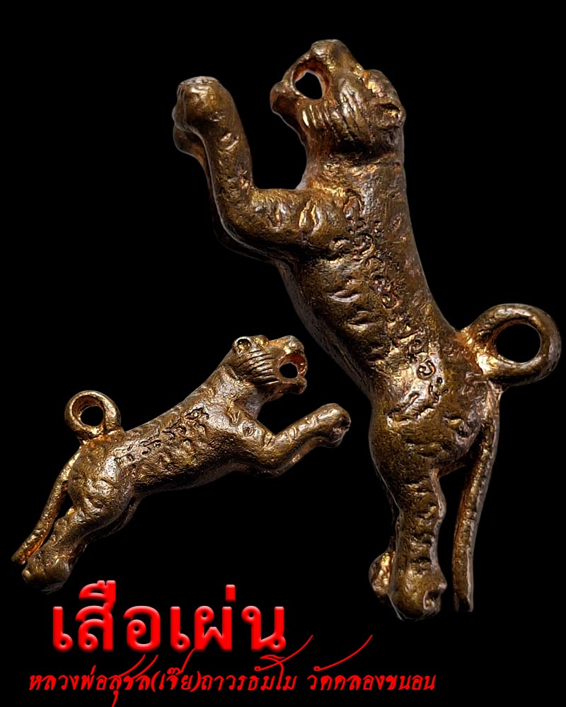 เสือสมิง หลวงพ่อสุชล(เจ๊ย)ถาวรธัมโม วัดคลองขนอน ราชบุรี - 2