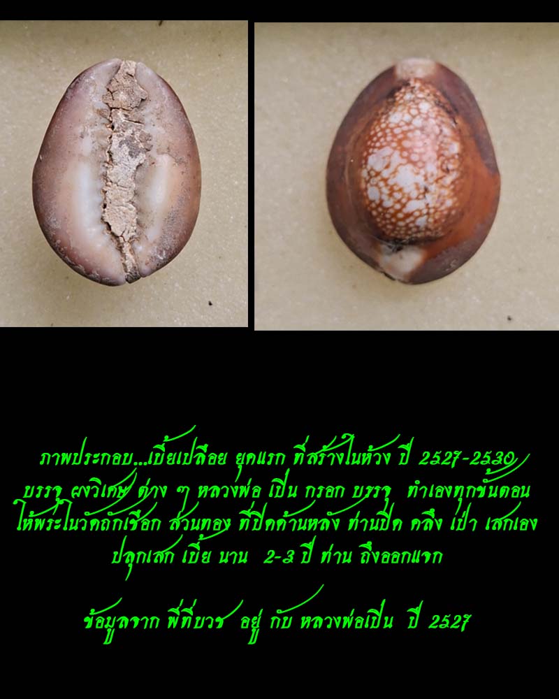 เบี้ยแก้ยุคแรก หลวงพ่อเปิ่น วัดบางพระ - 5