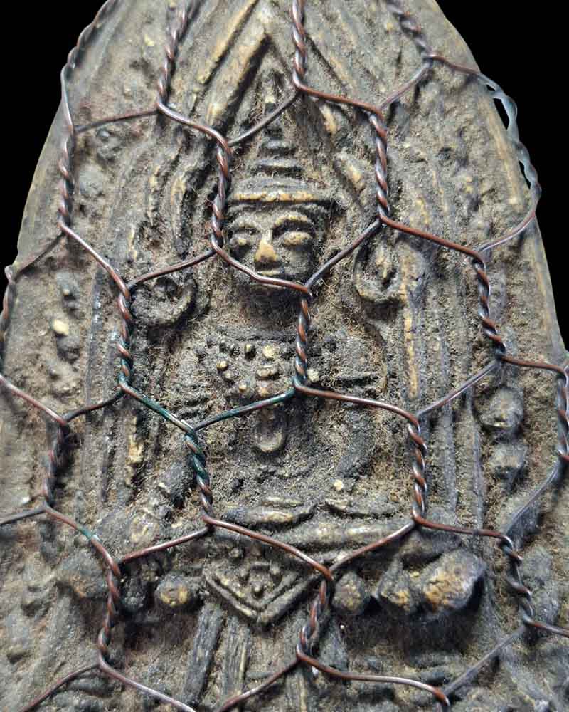 พระโคนสมอ หลังเบี้ย หลวงพ่อพัว วัดพักตราราม สมุทรสงคราม - 2