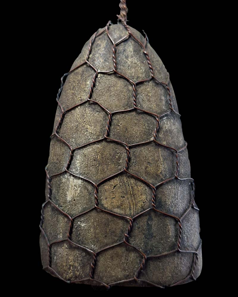 พระโคนสมอ หลังเบี้ย หลวงพ่อพัว วัดพักตราราม สมุทรสงคราม - 4