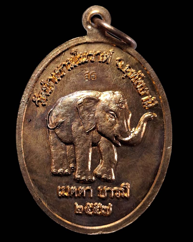 เหรียญเมตตา บารมี หลังช้าง  หลวงปู่สังวาลย์  วัดป่าเขามโนราห์  - 3