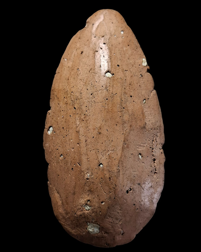 พระขุนแผนรุ่นแรก หลวงพ่อบุญเทียม ภูริปัญโญ วัดลาดหลุมแก้ว   - 5