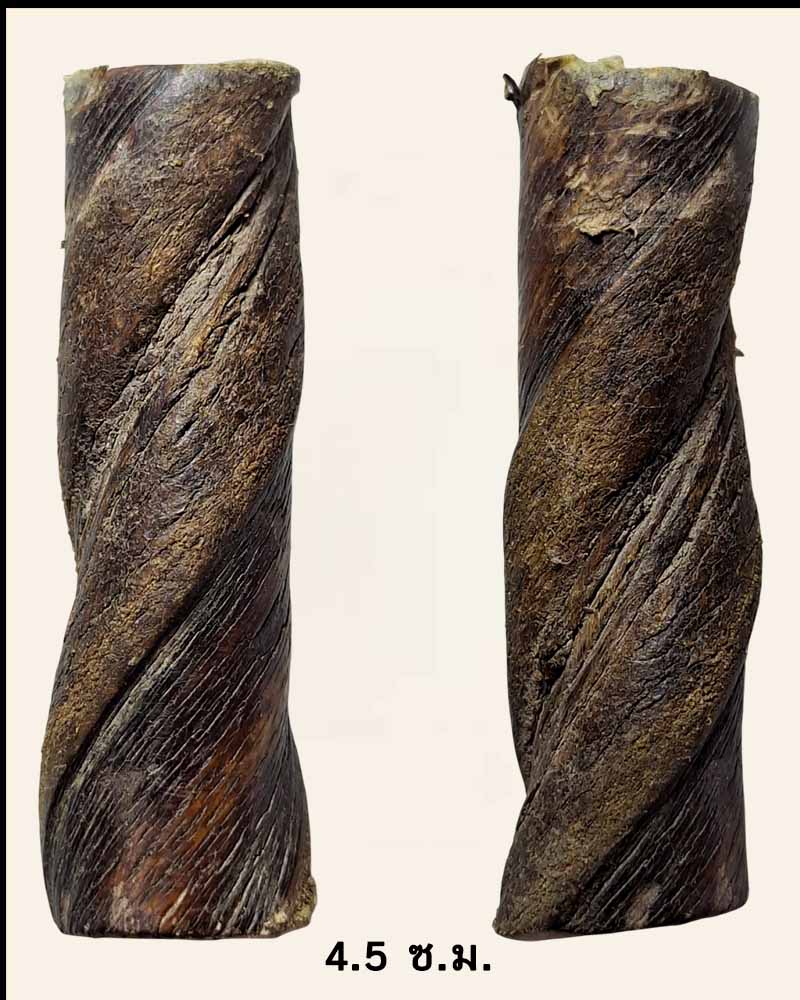 ตะกรุด เชือกปะกำช้าง - 2