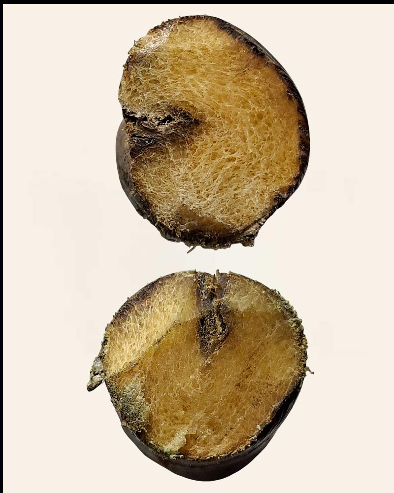 ตะกรุด เชือกปะกำช้าง - 3