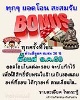 โบนัส พิเศษ 