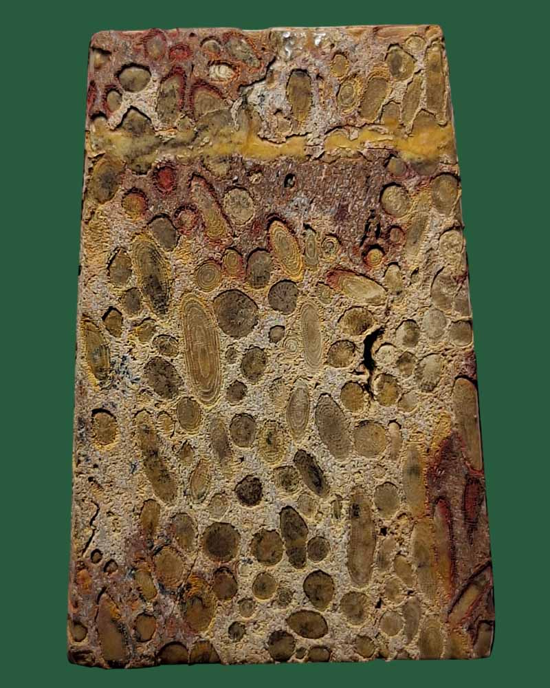 พระสมเด็จข้าวสารหิน หลวงปู่บุดดา ถาวโร รุ่นหนึ่งศตวรรษ ปี 2536 - 3