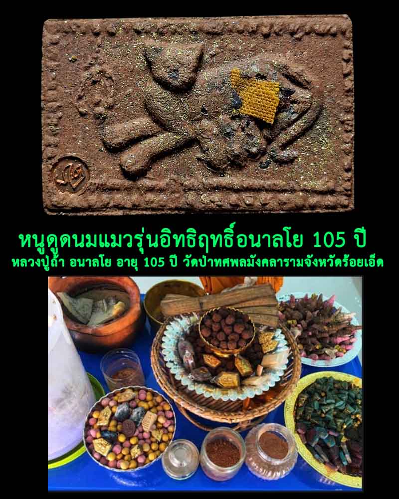 หนูดูดนมแมวรุ่นอิทธิฤทธิ์อนาลโย 105 ปี ห ลวงปู่ถ้า อนาลโย อายุ 105 ปี  - 1