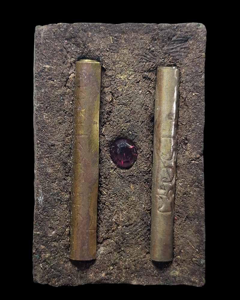 พญาต่อเงิน-ต่อทอง เนื้อไม้หอม หลวงพ่อจืด สวนปฏิบัติธรรมโพธิเศรษฐี - 3