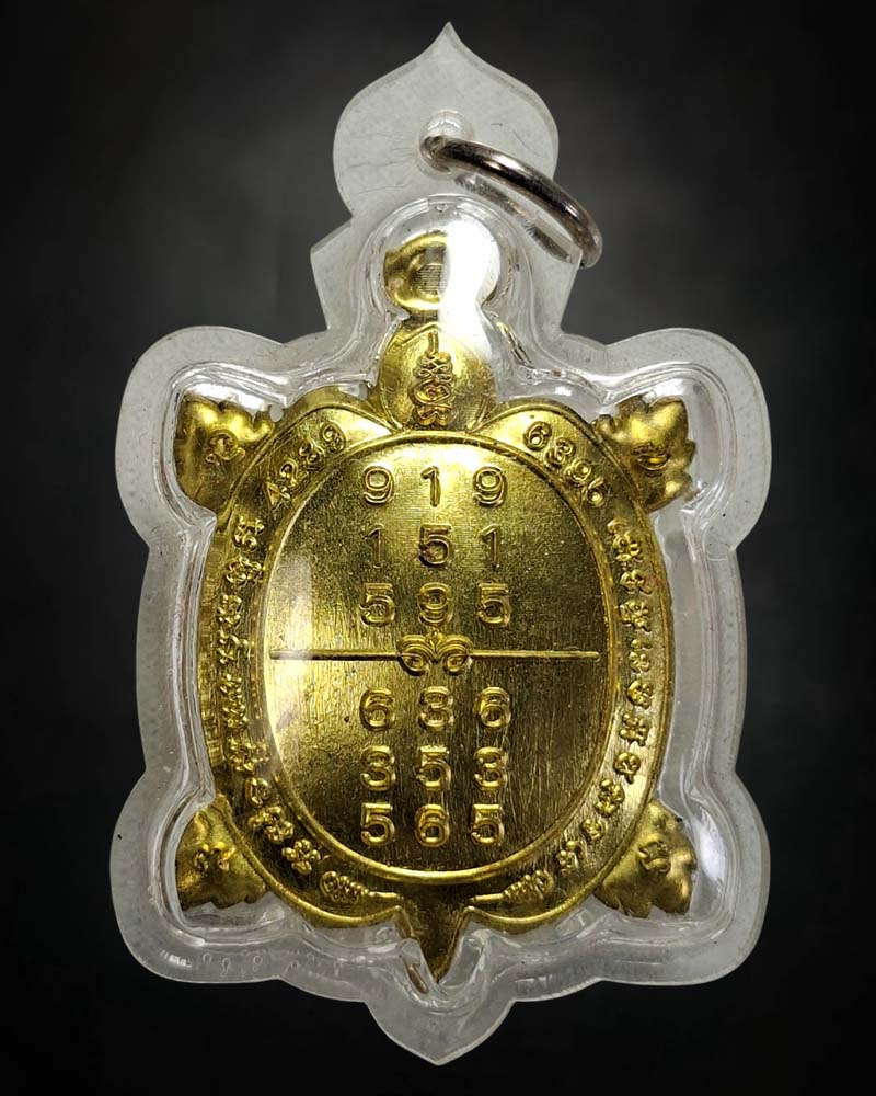 เหรียญพญาเต่าเรือน รุ่นเต่าเนรมิต หลวงพ่อพิเชฐ วัดโคกหม้อ (2) - 2