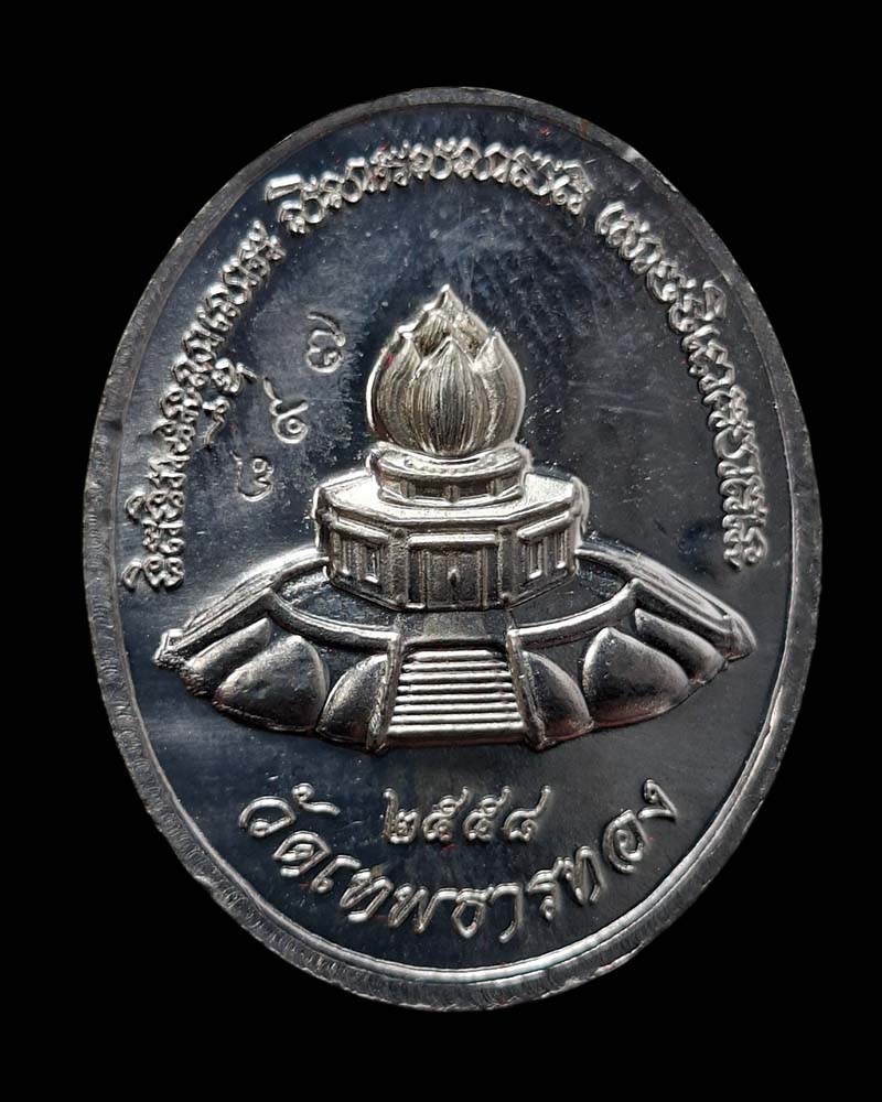 เหรียญรุ่นสร้างมณฑป หลวงปู่พิศดู ธมฺมจารี - 4