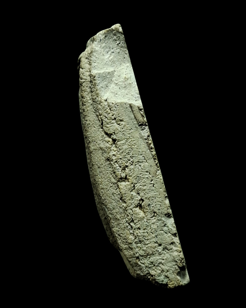 พระสมเด็จ เจ้าคุณศรีประหยัด วัดสุทัศน์ ปี 2496 - 4