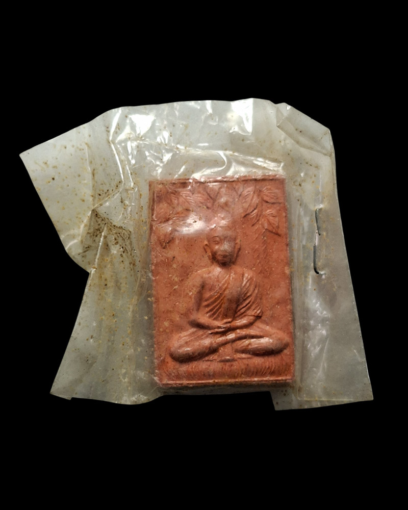 พระผงพุทธโคดม (ปรกโพธิ์ )หลวงปู่เทียม สิริปัญโญ วัดกษัตราธิราช - 3