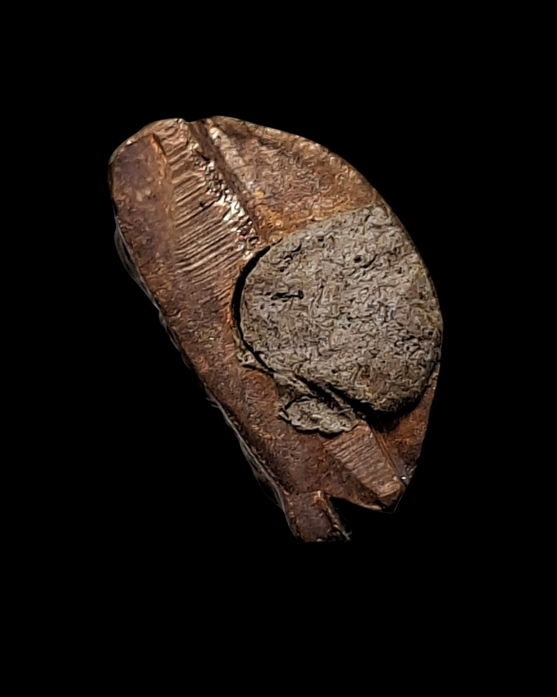 พระประทานพร พระครูประกาศสมาธิคุณ วัดมหาธาตุ  (1) - 4