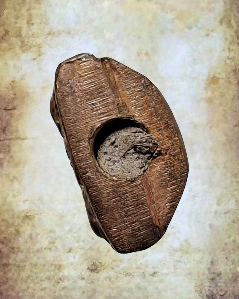 พระประทานพร พระครูประกาศสมาธิคุณ วัดมหาธาตุ (2) - 4