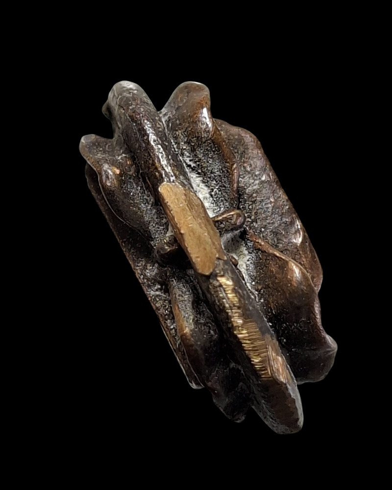 พระสมเด็จตรัสรู้ วัดทุ่งเสรี เนื้อนวะโลหะ ปี 2519 - 4