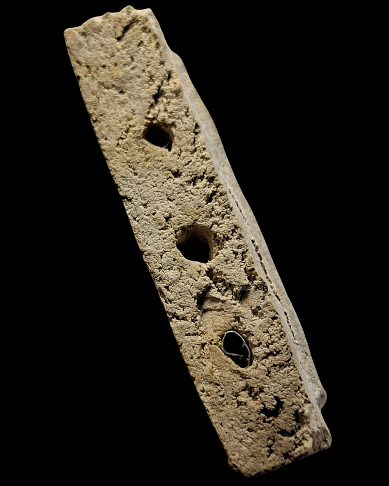 พระสมเด็จผง 12 นักษัตร หลวงพ่อละมูล วัดเสด็จ หลังพัดยศ ปี 2513 ตะกรุด 3 ดอก - 5