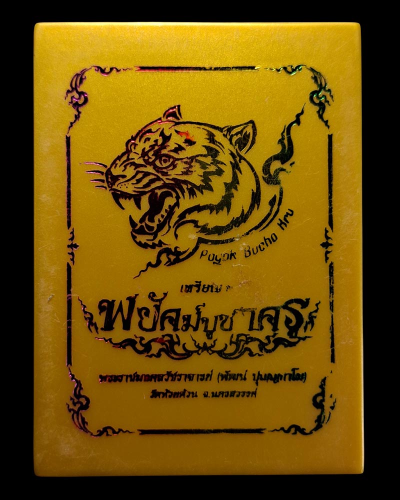 เหรียญพยัคฆ์บูชาครู หลวงพ่อพัฒน์ ปุญญกาโม วัดห้วยด้วน นครสวรรค์ - 5