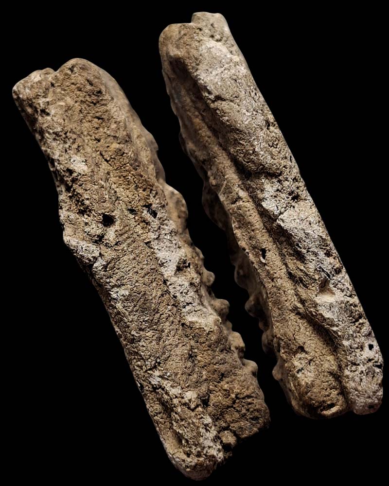 พระสมเด็จ บัวสี่เหล่า หลวงพ่อแช่ม วัดตาก้อง นครปฐม - 4