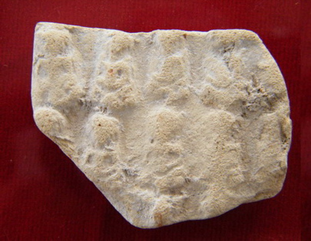 นาดูนเนื้อมะขามเปียก