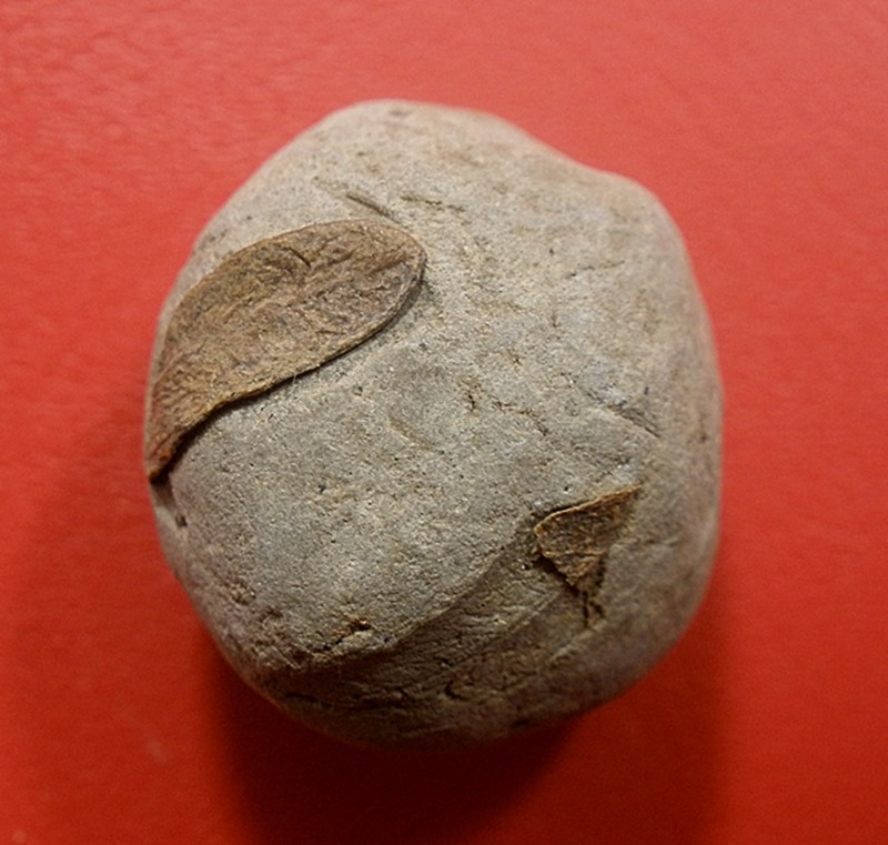 สอบถามครับลูกอมที่ไหนครับ 