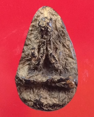 พระปิดตา รบกวนผู้รู้ทุกท่าน