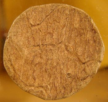 ช่วยดูกะลาแกะให้ทีครับว่าเป็นที่วัดไหนครับ