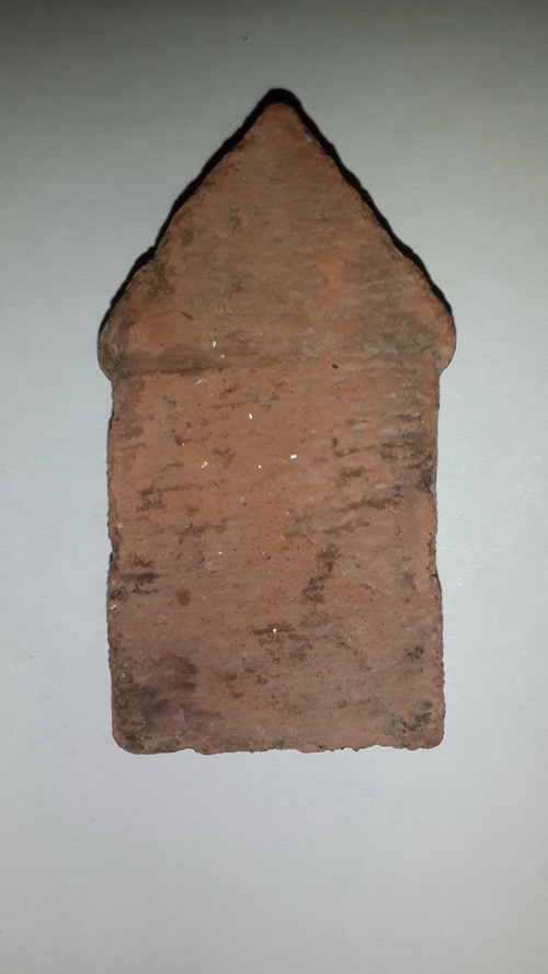 อยากได้ความรู้เพิ่มเติมคับ