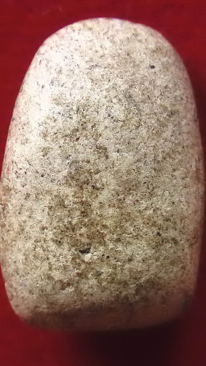 วัดพลับ