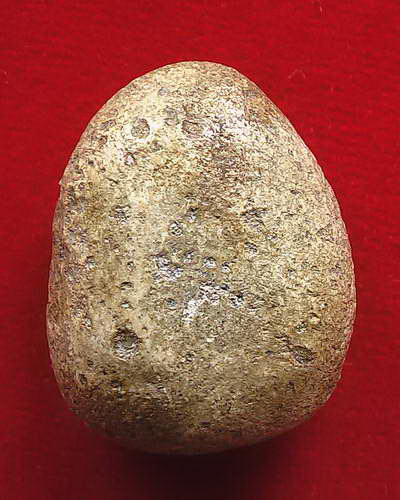 วัดพลับอีกองค์ครับ