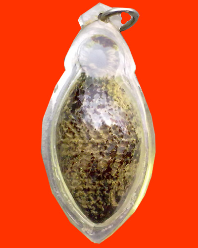 หมากทุยเพิ่งได้มาใหม่รบกวนผู้ชำนาญครับ