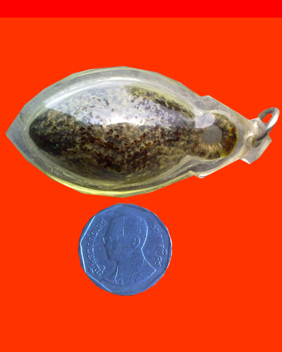 หมากทุยเพิ่งได้มาใหม่รบกวนผู้ชำนาญครับ