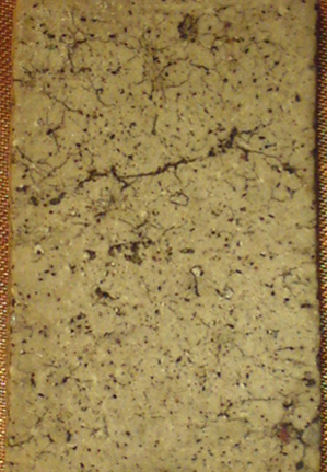 เปิดให้เช่าสมเด็จวัดระฆัง เกศทะลุซุ้ม กรอบแก้ว แท้100%