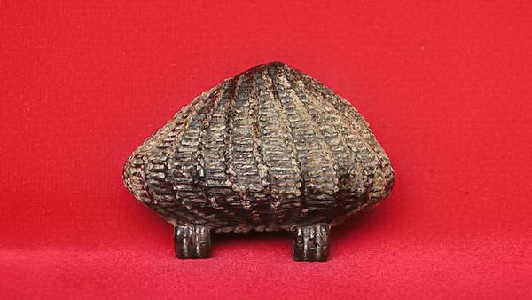 เบี้ยแก้