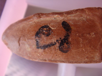 ช่วยไห้น่อยคาบ  พระไรรุ่นไหนปีไร