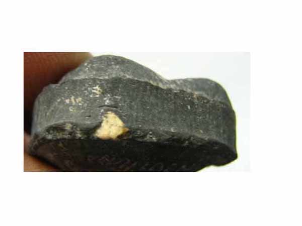 หลวงปู่ทิม